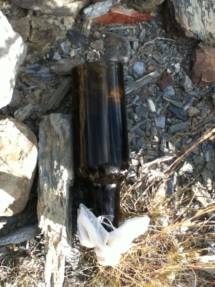 a photograph of the filter