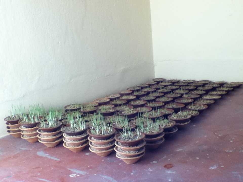 a photograph of an experiment in preparation for the installation jamaraa narahalaa