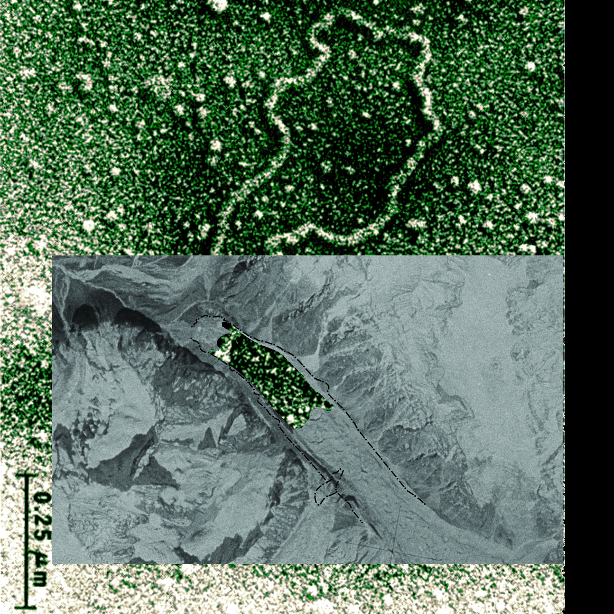 a satellite photograph or map Tso Rolpa lake against the backdrop of one of the first genes edited by humans