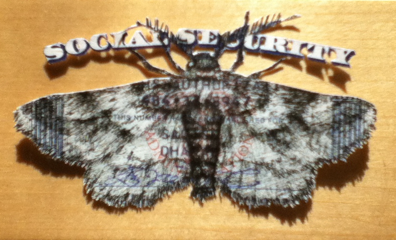 photograph of a cutout a of a moth drawn on a government-issued identity card