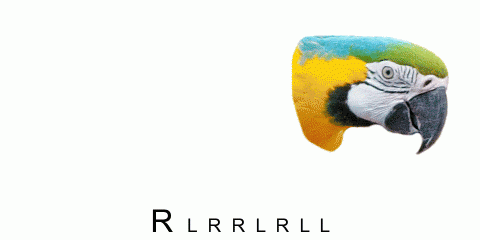 a paradiddle with a parrot and a dildo'
